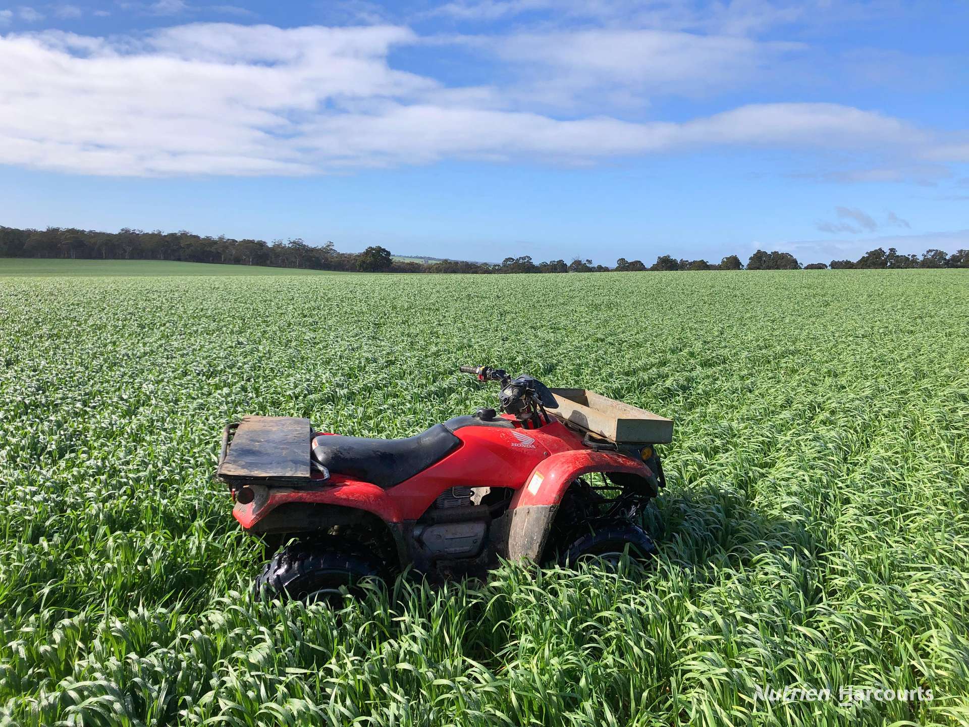 8221 Brookton Highway, Jelcobine For Sale by Farmbuy.com - image 11