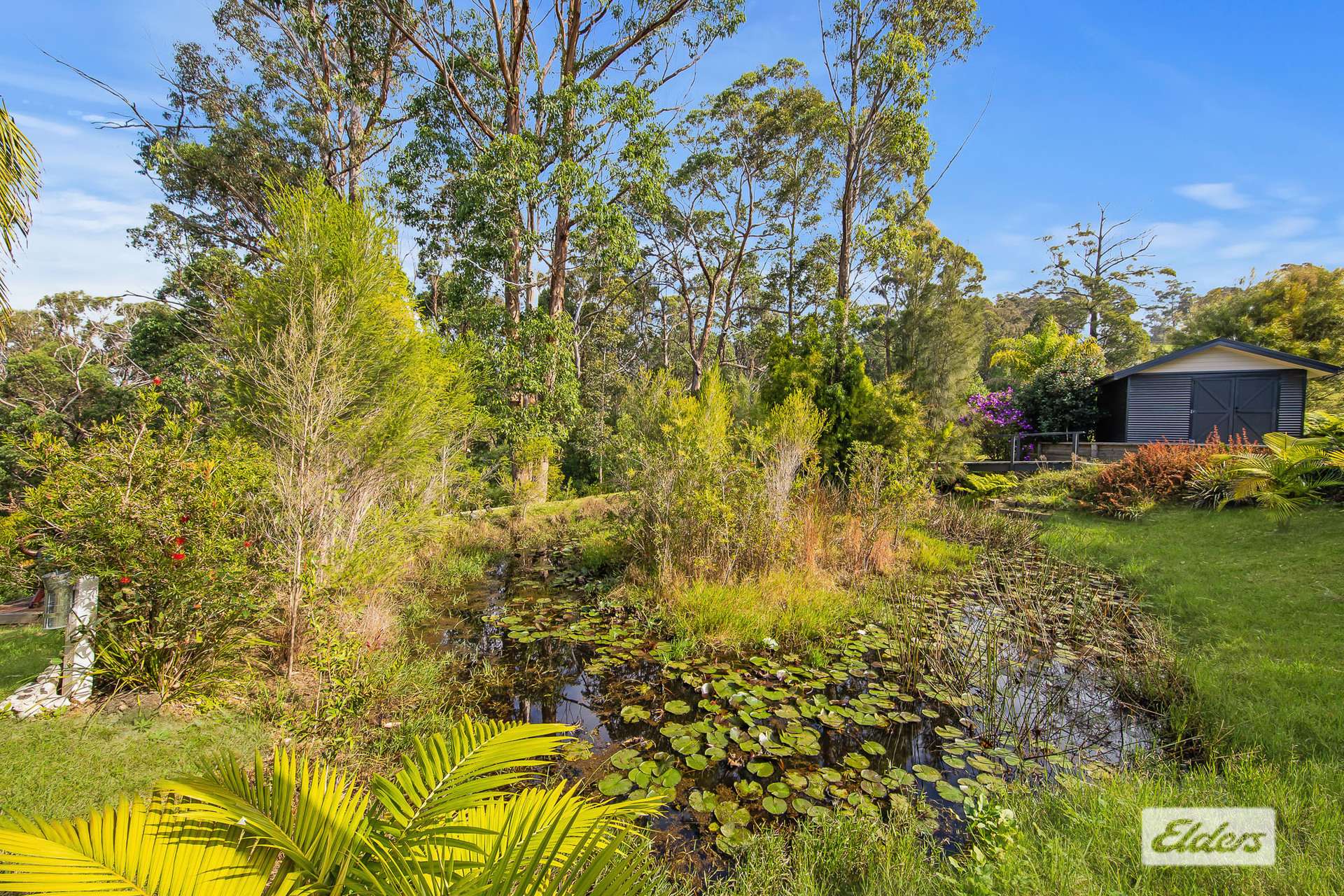 10 Highlands Avenue, Surf Beach For Sale by Farmbuy.com - image 24