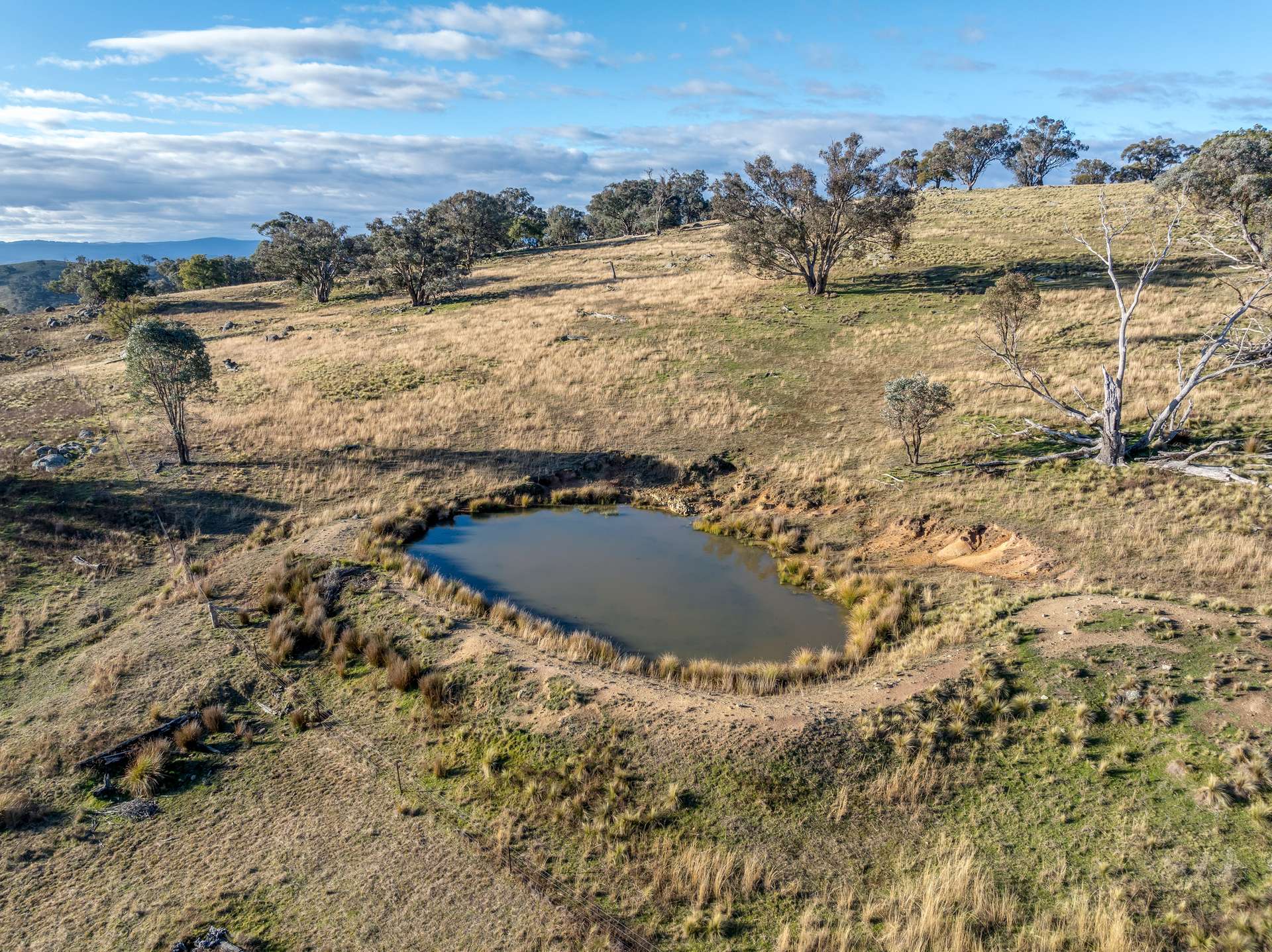 498 Decca Road, Bigga For Sale by Farmbuy.com - image 19