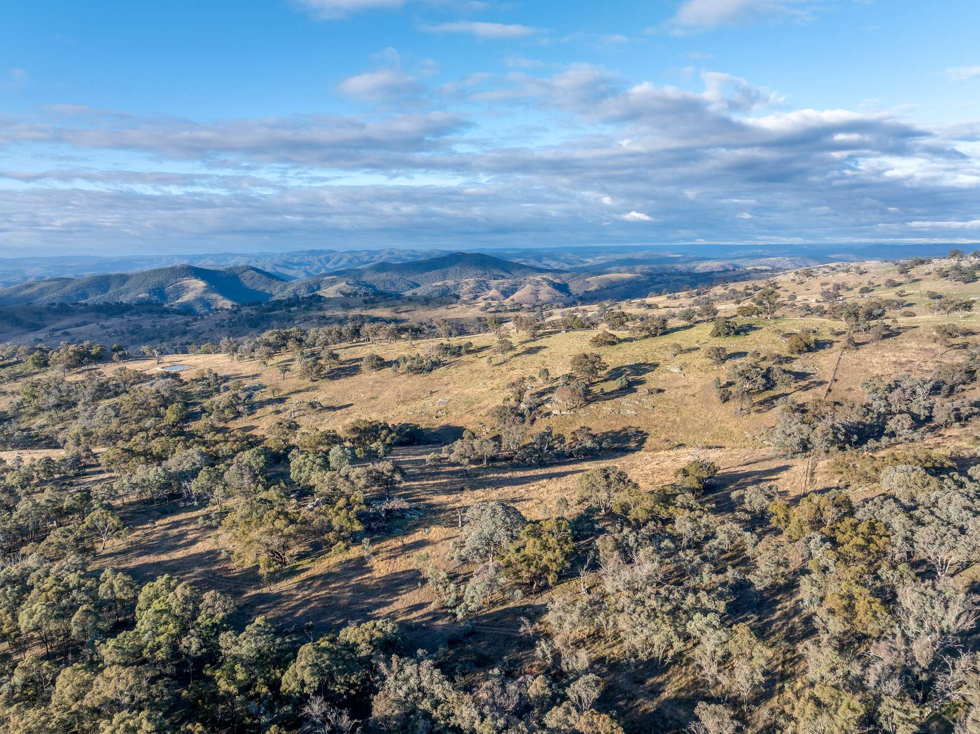 498 Decca Road, Bigga For Sale by Farmbuy.com - image 23