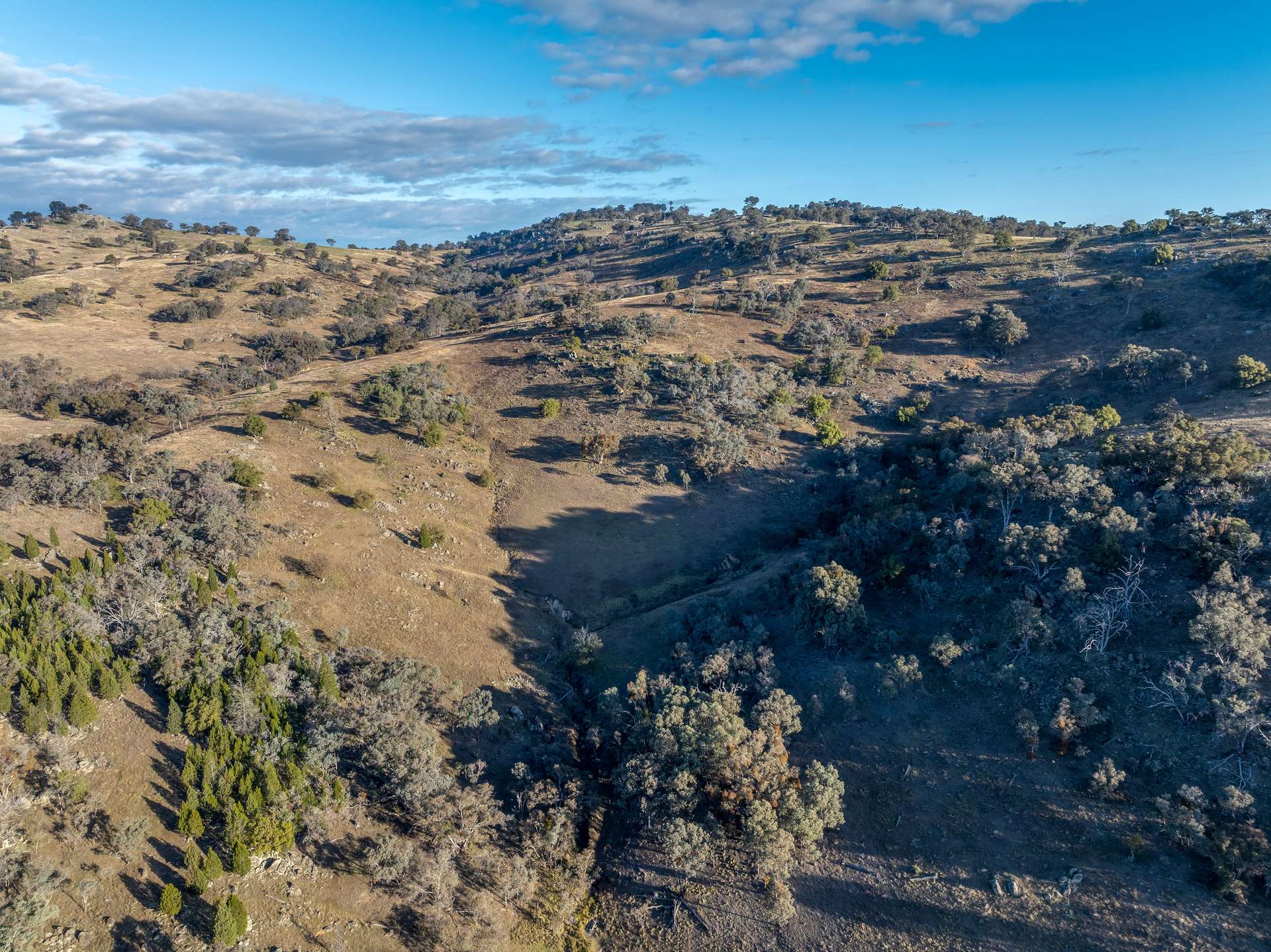 498 Decca Road, Bigga For Sale by Farmbuy.com - image 21