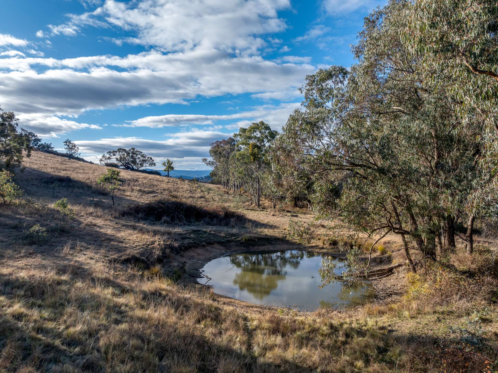 498 Decca Road, Bigga For Sale by Farmbuy.com - image 13