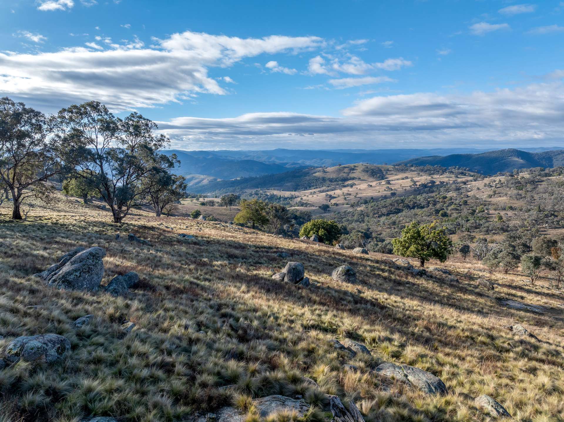 498 Decca Road, Bigga For Sale by Farmbuy.com - image 7