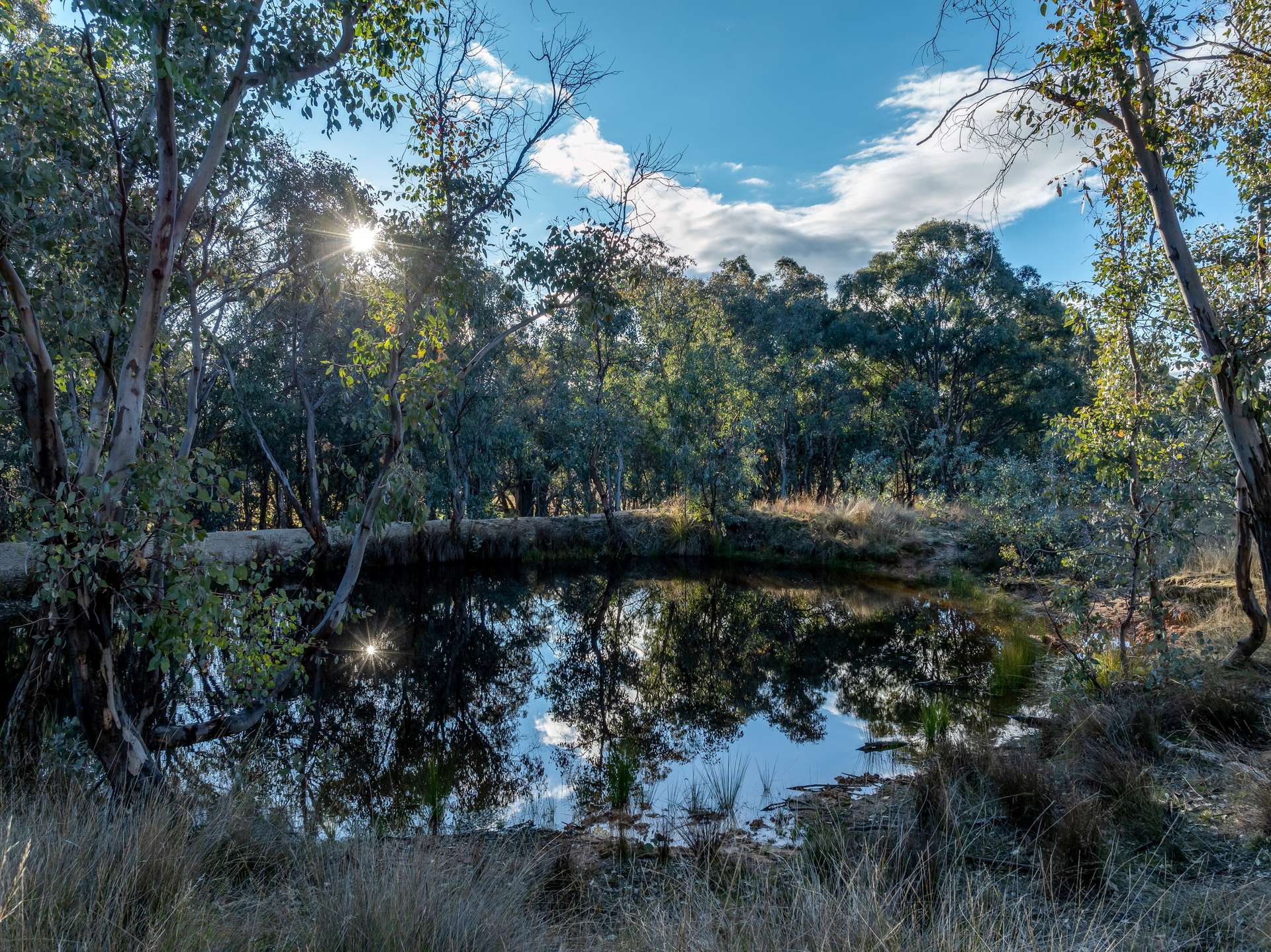 498 Decca Road, Bigga For Sale by Farmbuy.com - image 27