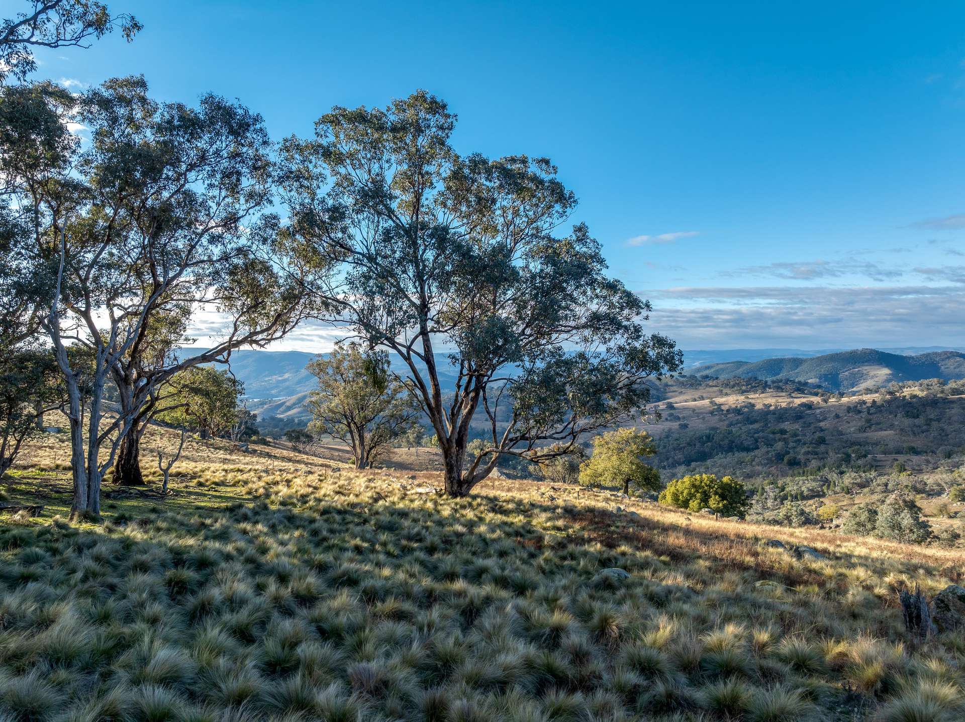 498 Decca Road, Bigga For Sale by Farmbuy.com - image 24