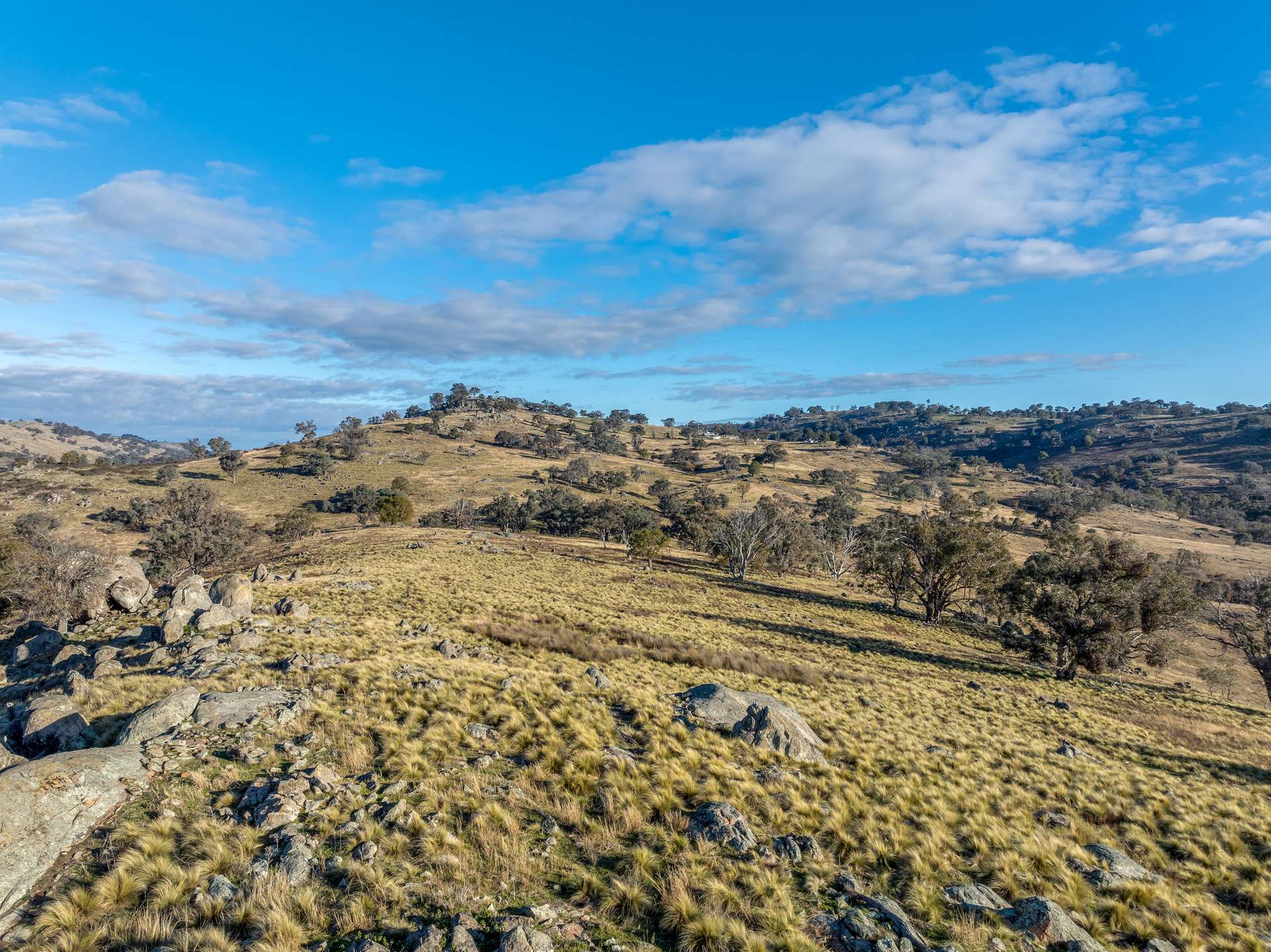 498 Decca Road, Bigga For Sale by Farmbuy.com - image 22