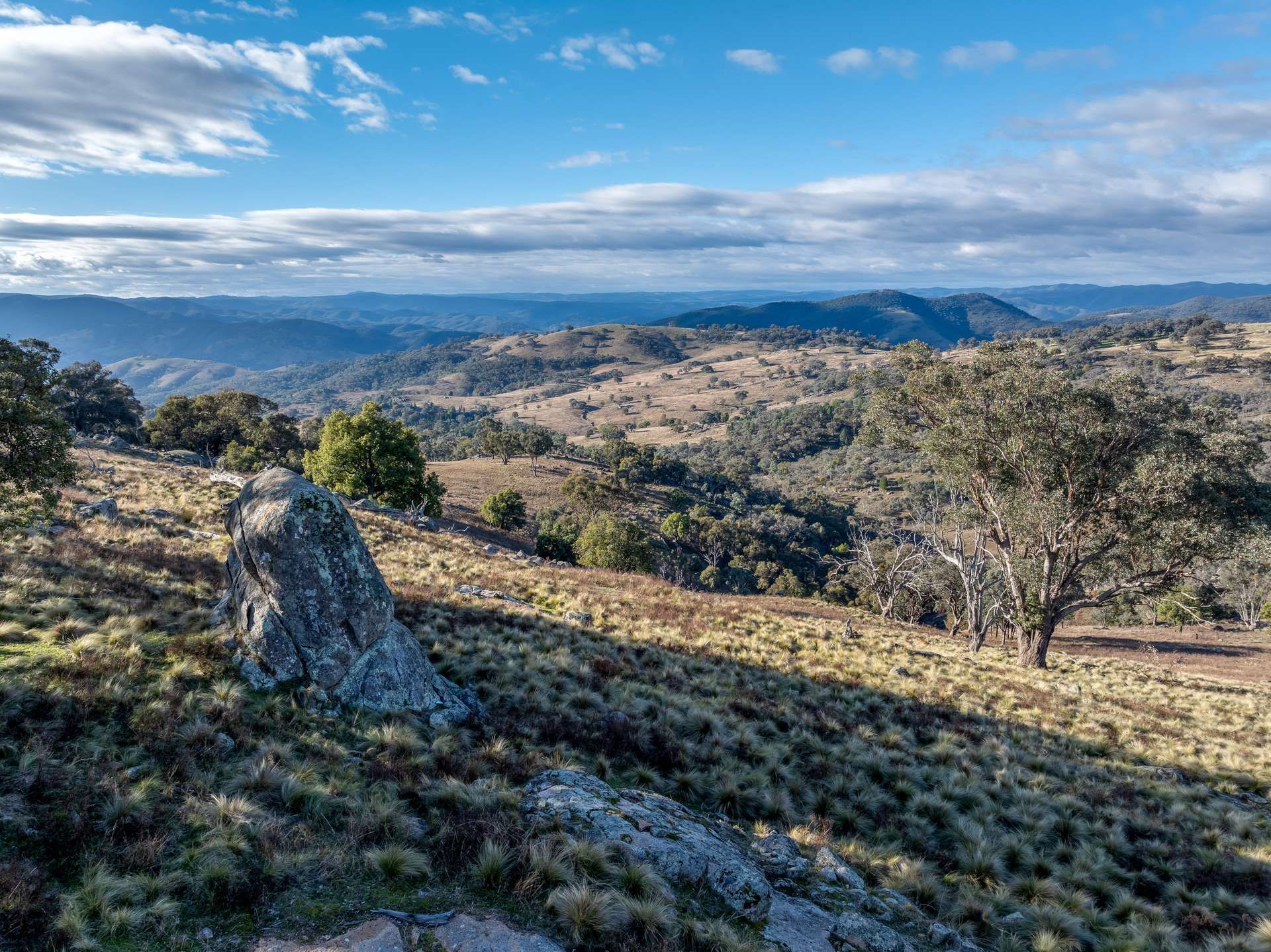 498 Decca Road, Bigga For Sale by Farmbuy.com - image 3