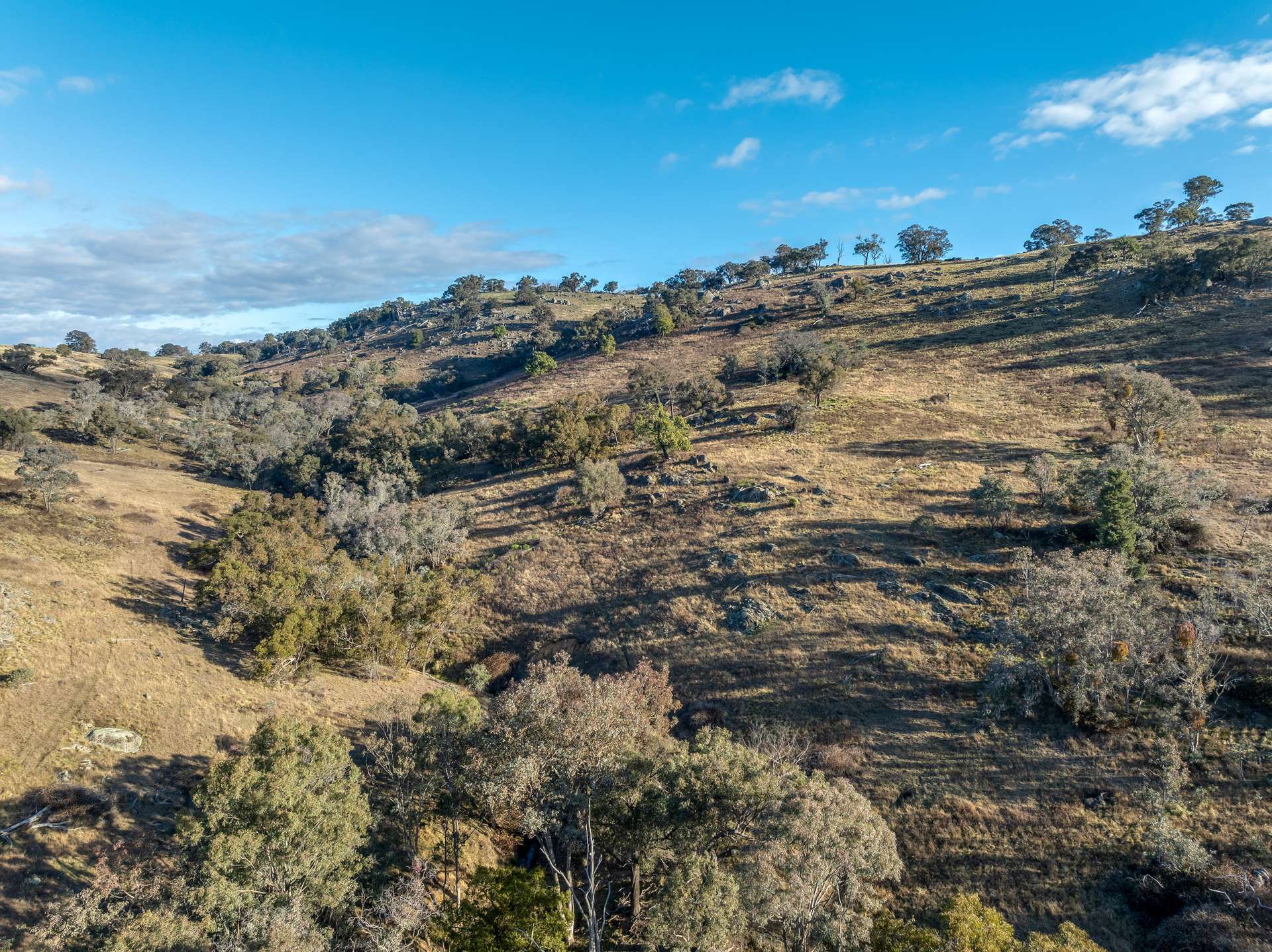 498 Decca Road, Bigga For Sale by Farmbuy.com - image 10