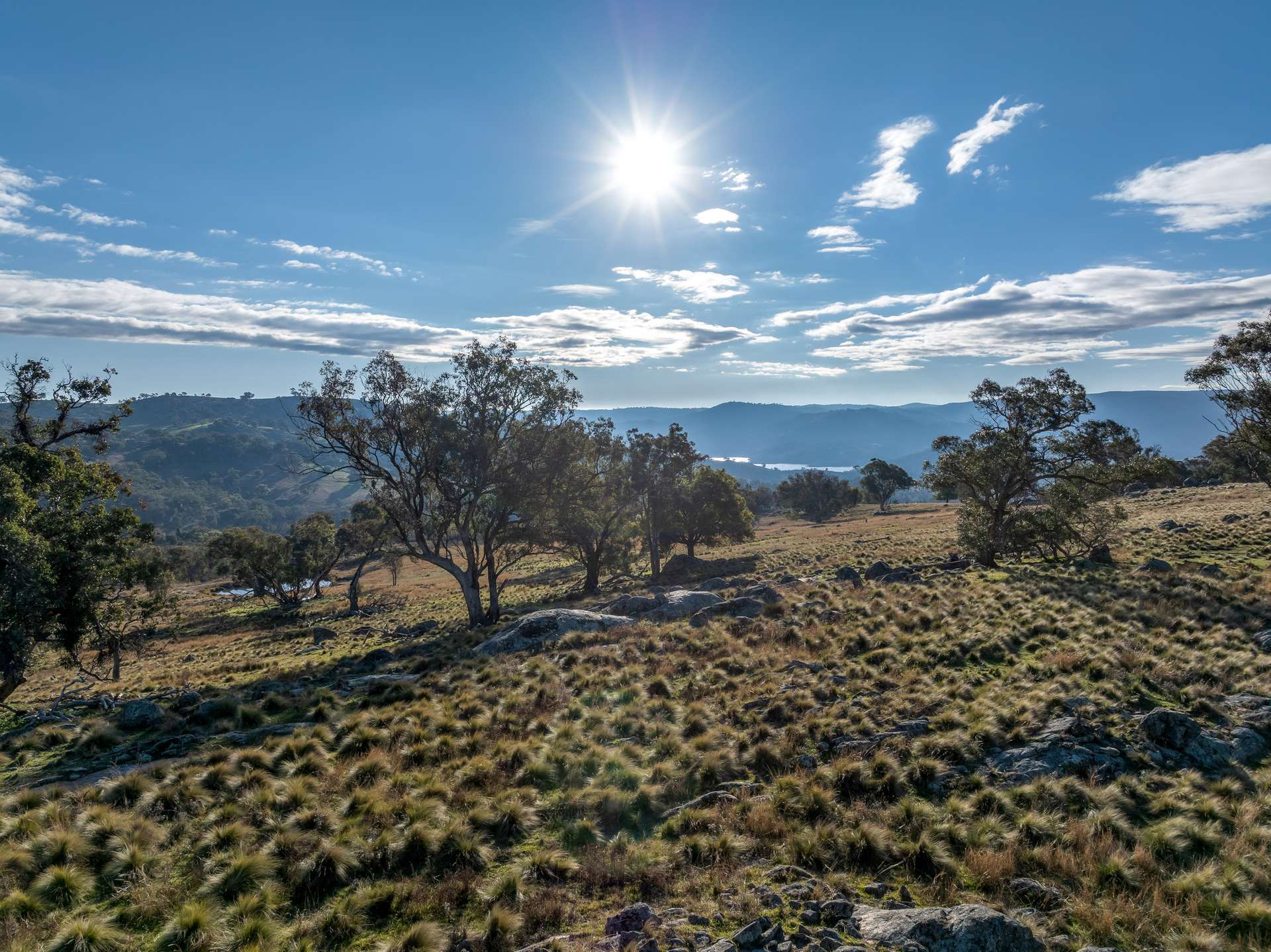 498 Decca Road, Bigga For Sale by Farmbuy.com - image 18