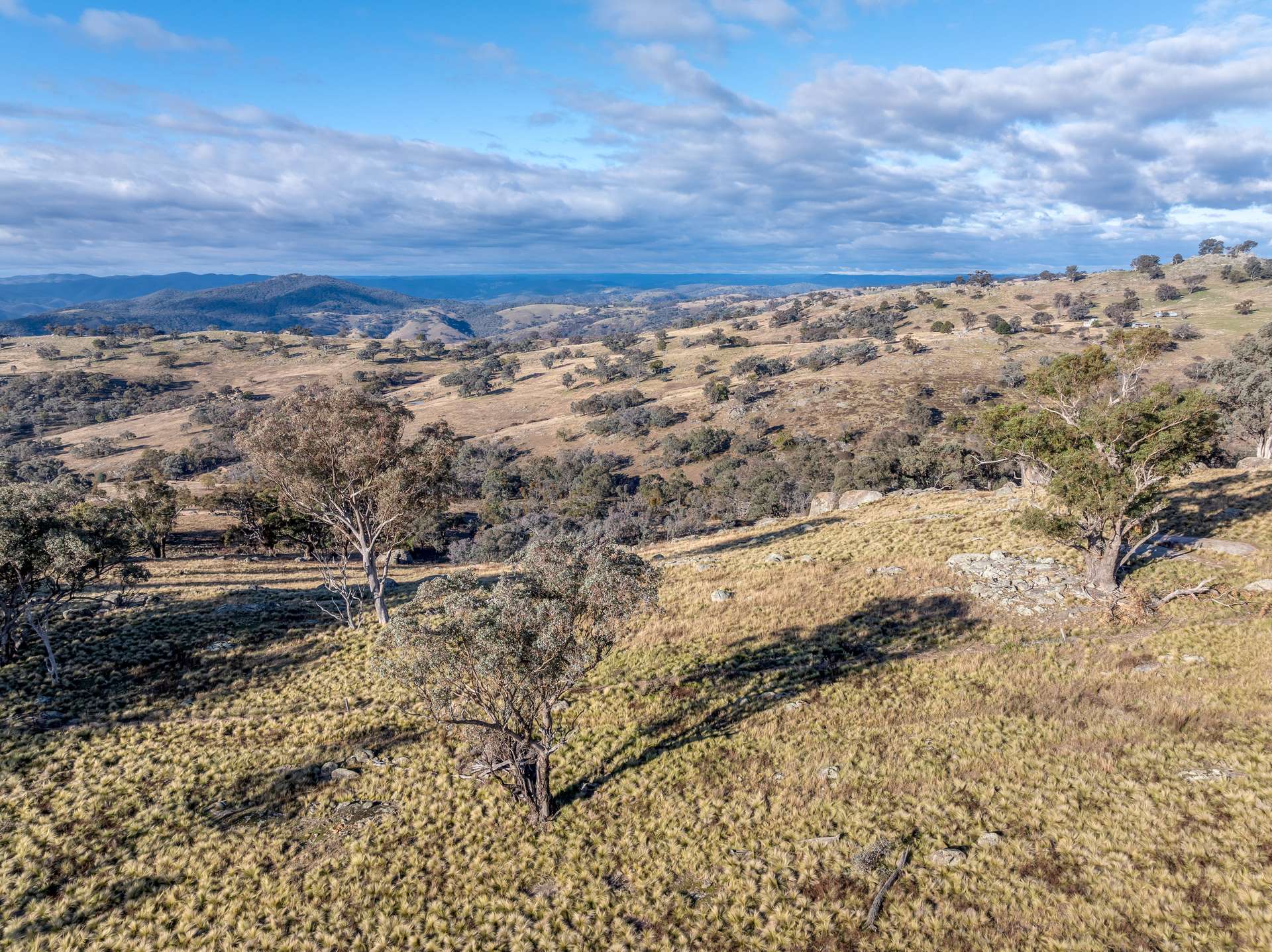 498 Decca Road, Bigga For Sale by Farmbuy.com - image 8