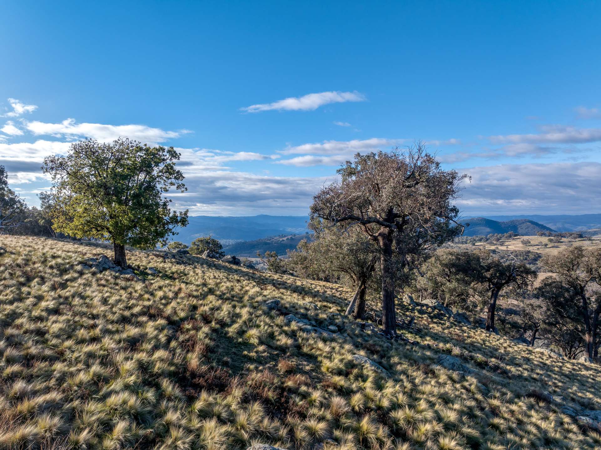 498 Decca Road, Bigga For Sale by Farmbuy.com - image 16