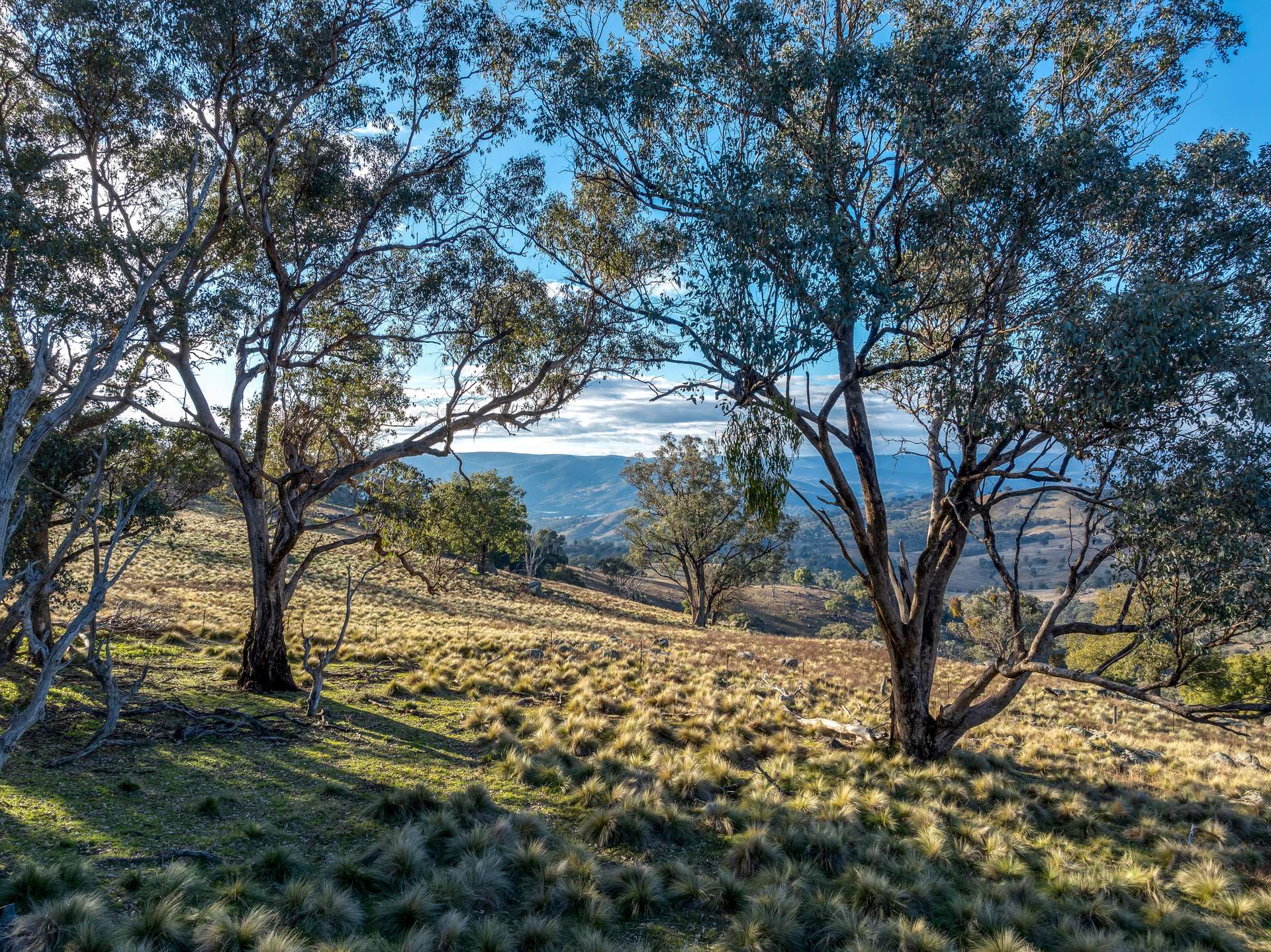 498 Decca Road, Bigga For Sale by Farmbuy.com - image 25