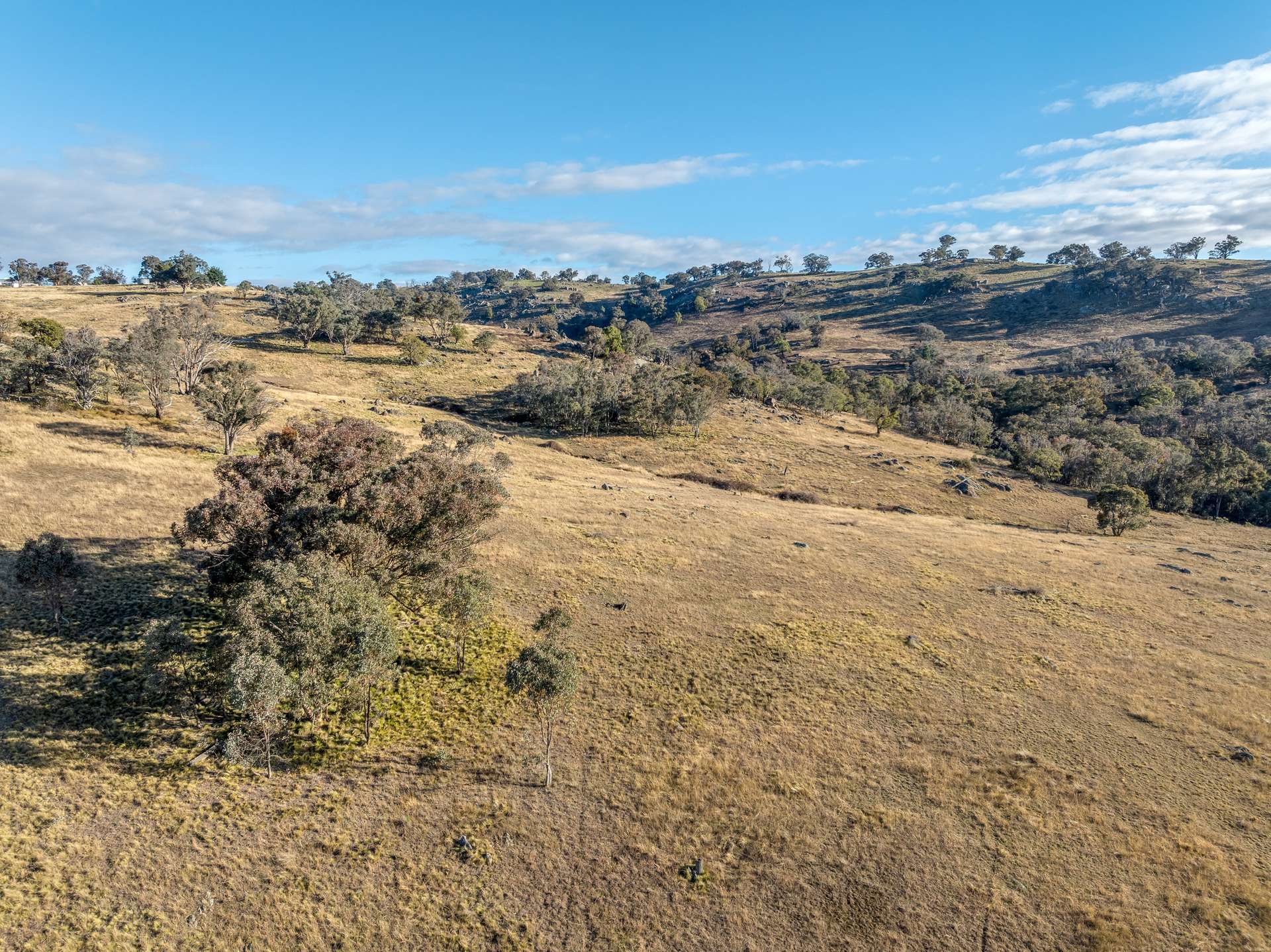 498 Decca Road, Bigga For Sale by Farmbuy.com - image 14