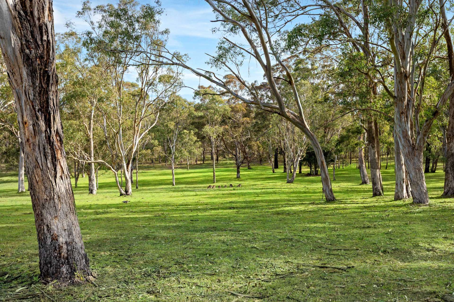 Lochinvar For Sale by Farmbuy.com - image 29