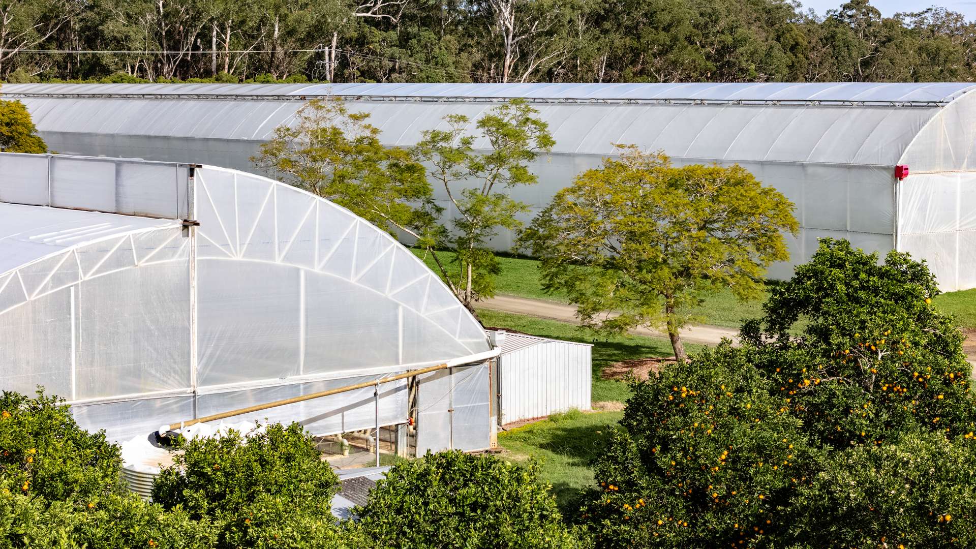'Ricardoes Tomatoes' 221 Blackmans Point Road, Blackmans Point For Sale by Farmbuy.com - image 15