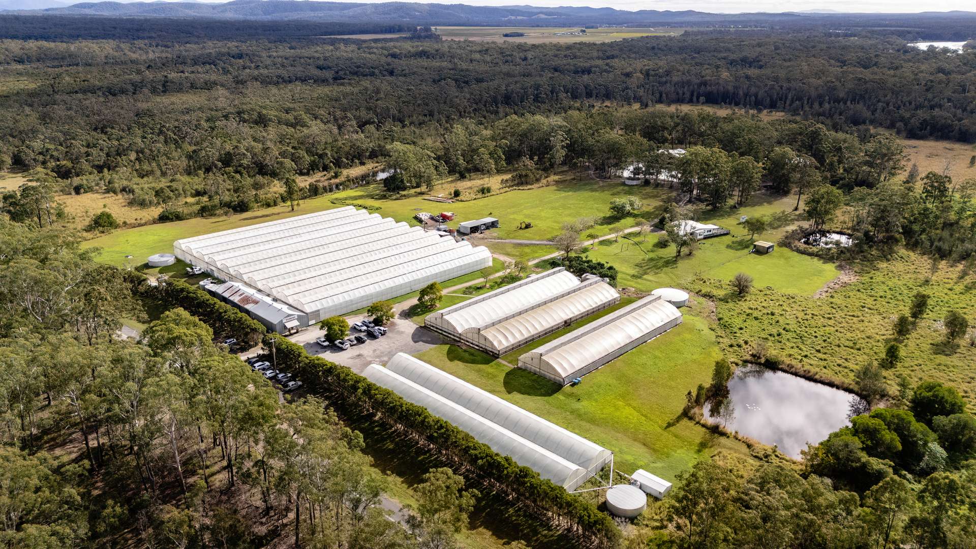 'Ricardoes Tomatoes' 221 Blackmans Point Road, Blackmans Point For Sale by Farmbuy.com - image 8