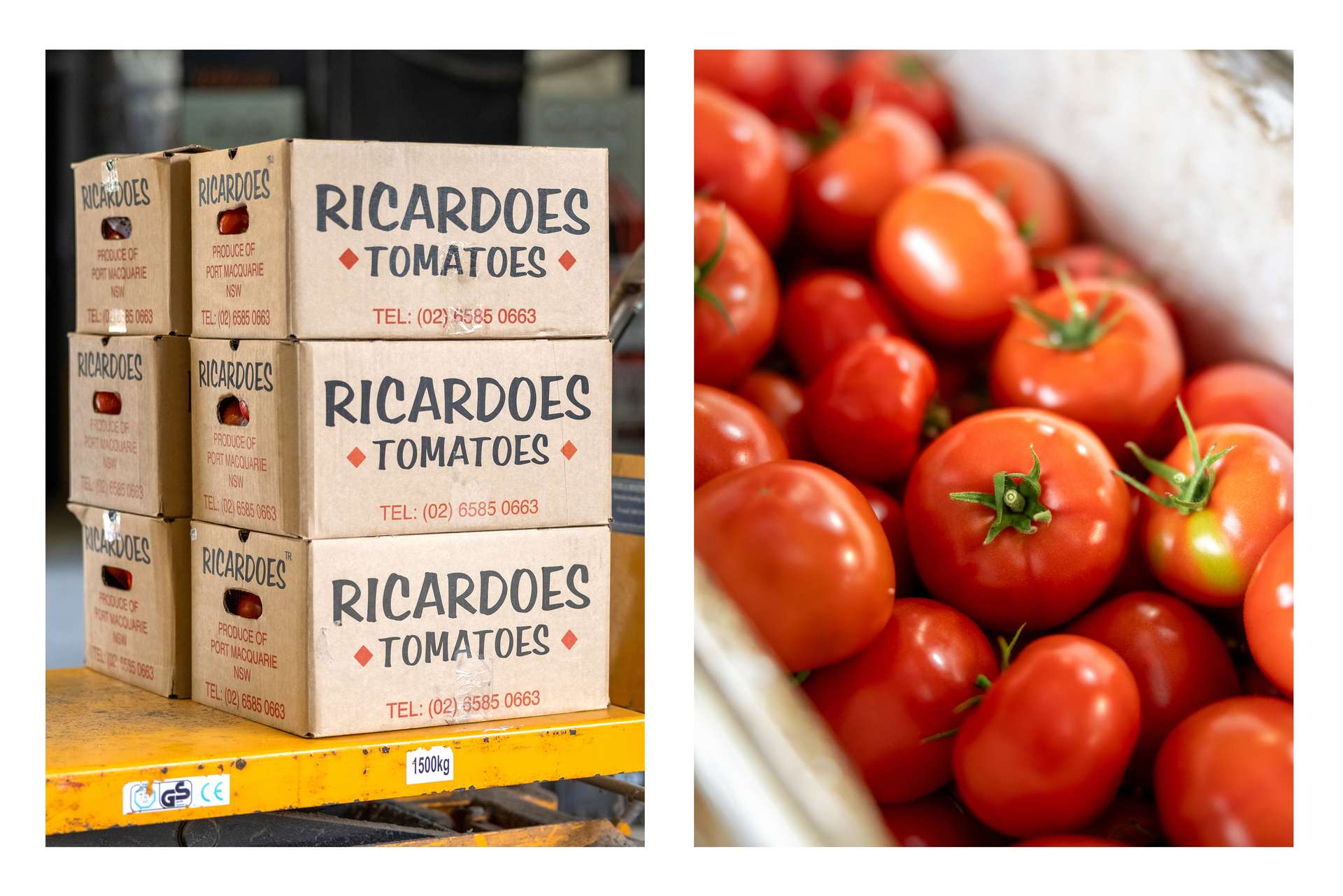 'Ricardoes Tomatoes' 221 Blackmans Point Road, Blackmans Point For Sale by Farmbuy.com - image 14