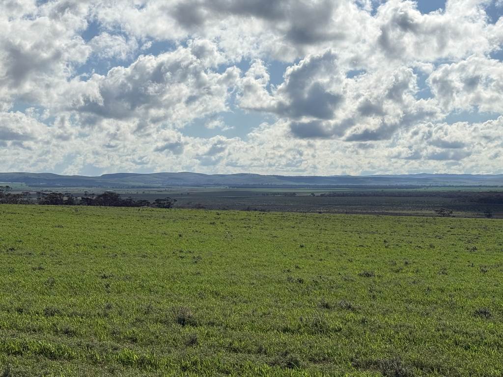 Lot 163&comma; Tungali Road, Sandleton SA 5356