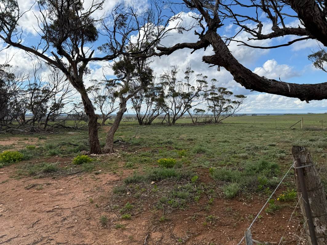 Lot 163,  Tungali Road, Sandleton For Sale by Farmbuy.com - image 11