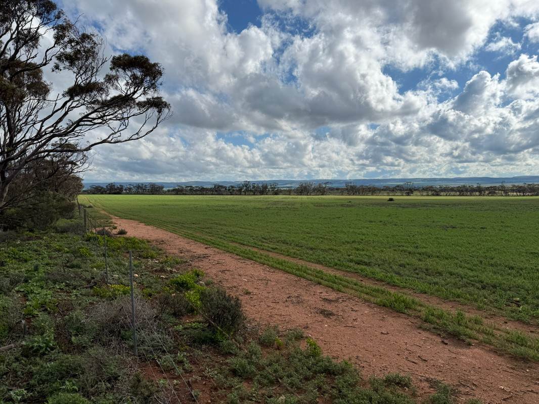 Lot 163,  Tungali Road, Sandleton For Sale by Farmbuy.com - image 13