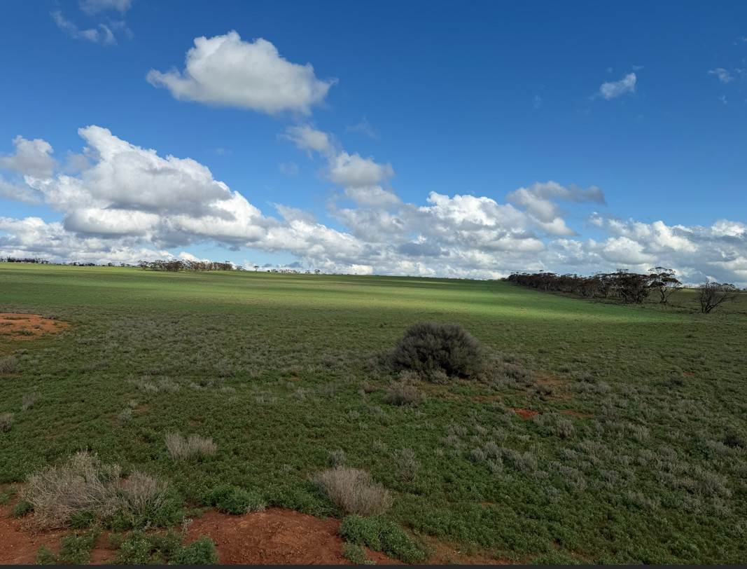 Lot 163,  Tungali Road, Sandleton For Sale by Farmbuy.com - image 12