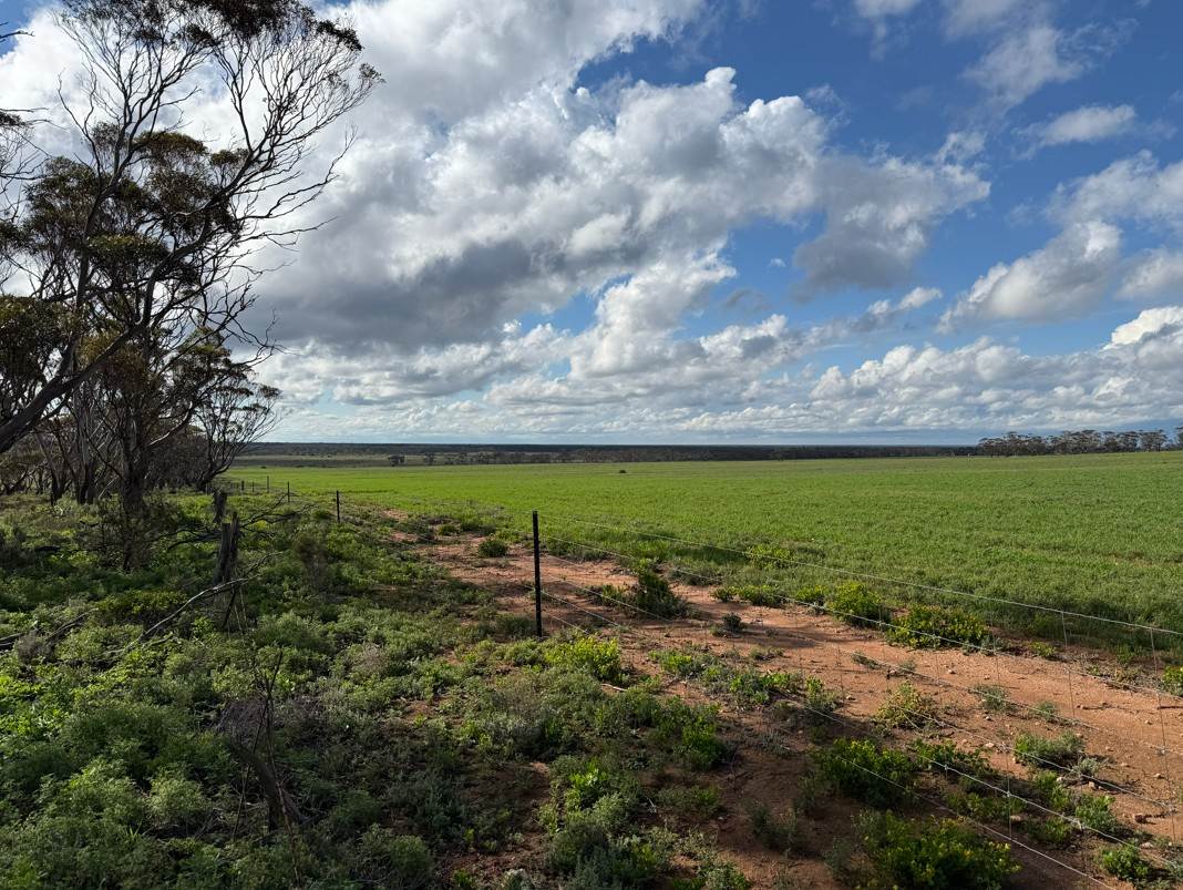 Lot 163,  Tungali Road, Sandleton For Sale by Farmbuy.com - image 10