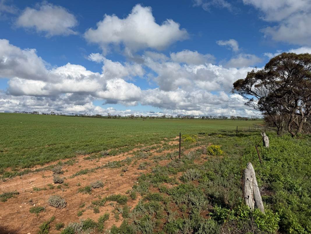 Lot 163,  Tungali Road, Sandleton For Sale by Farmbuy.com - image 8
