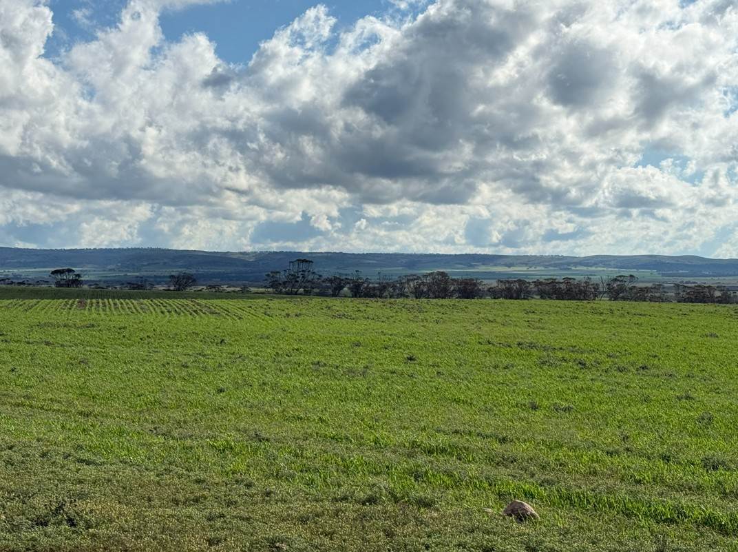 Lot 163,  Tungali Road, Sandleton For Sale by Farmbuy.com - image 14