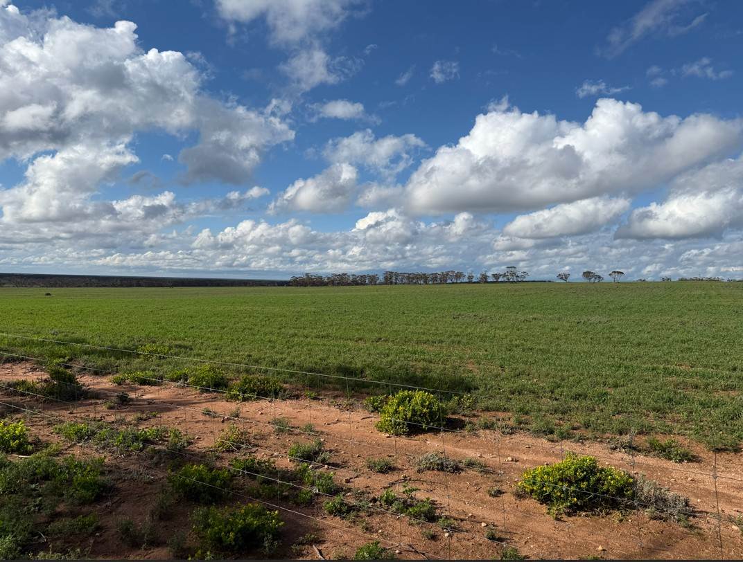 Lot 163,  Tungali Road, Sandleton For Sale by Farmbuy.com - image 2