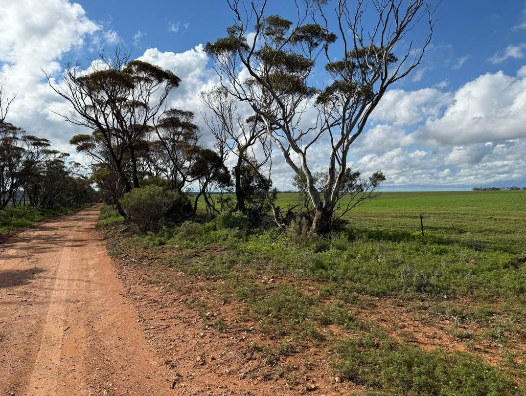 Lot 163,  Tungali Road, Sandleton For Sale by Farmbuy.com - image 7