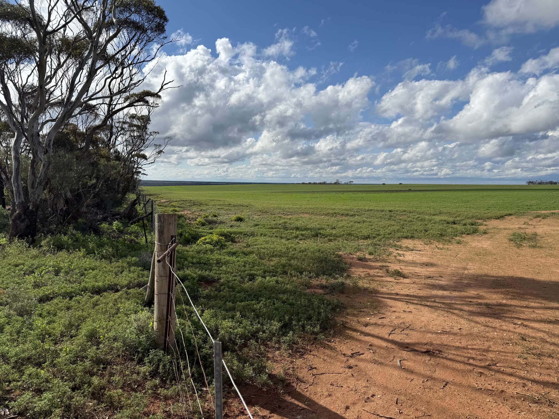 Lot 163,  Tungali Road, Sandleton For Sale by Farmbuy.com - image 15