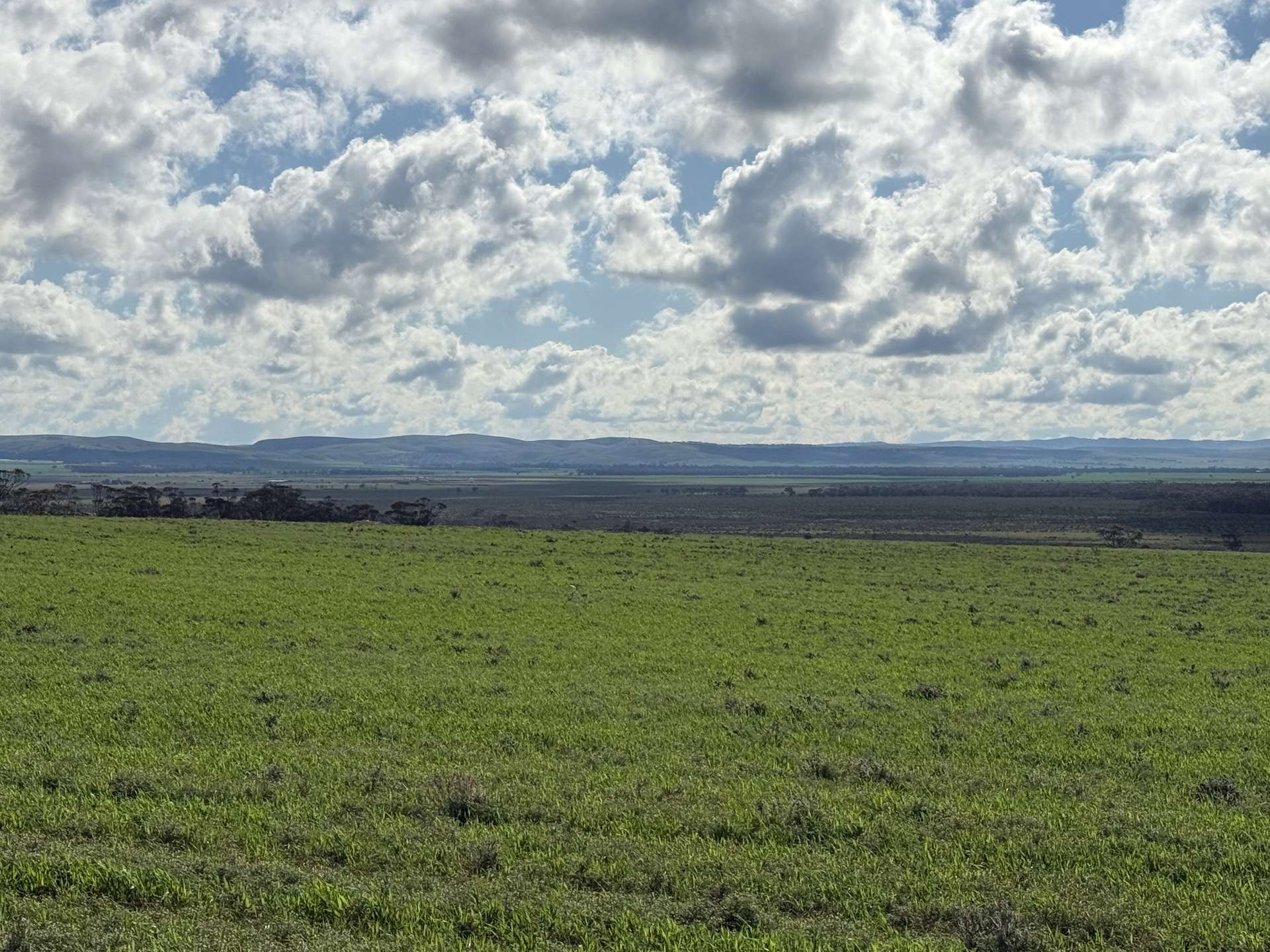 Lot 163,  Tungali Road, Sandleton For Sale by Farmbuy.com - image 1