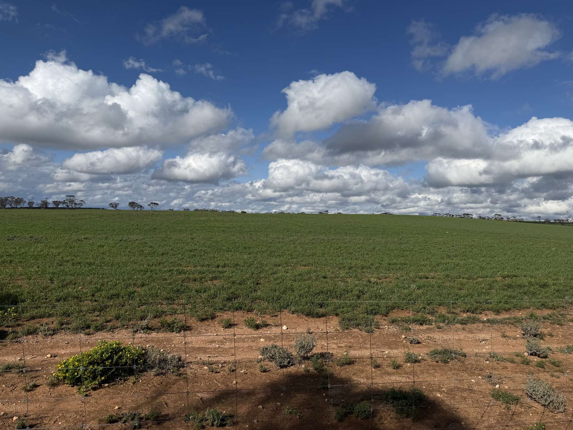 Lot 163,  Tungali Road, Sandleton For Sale by Farmbuy.com - image 17