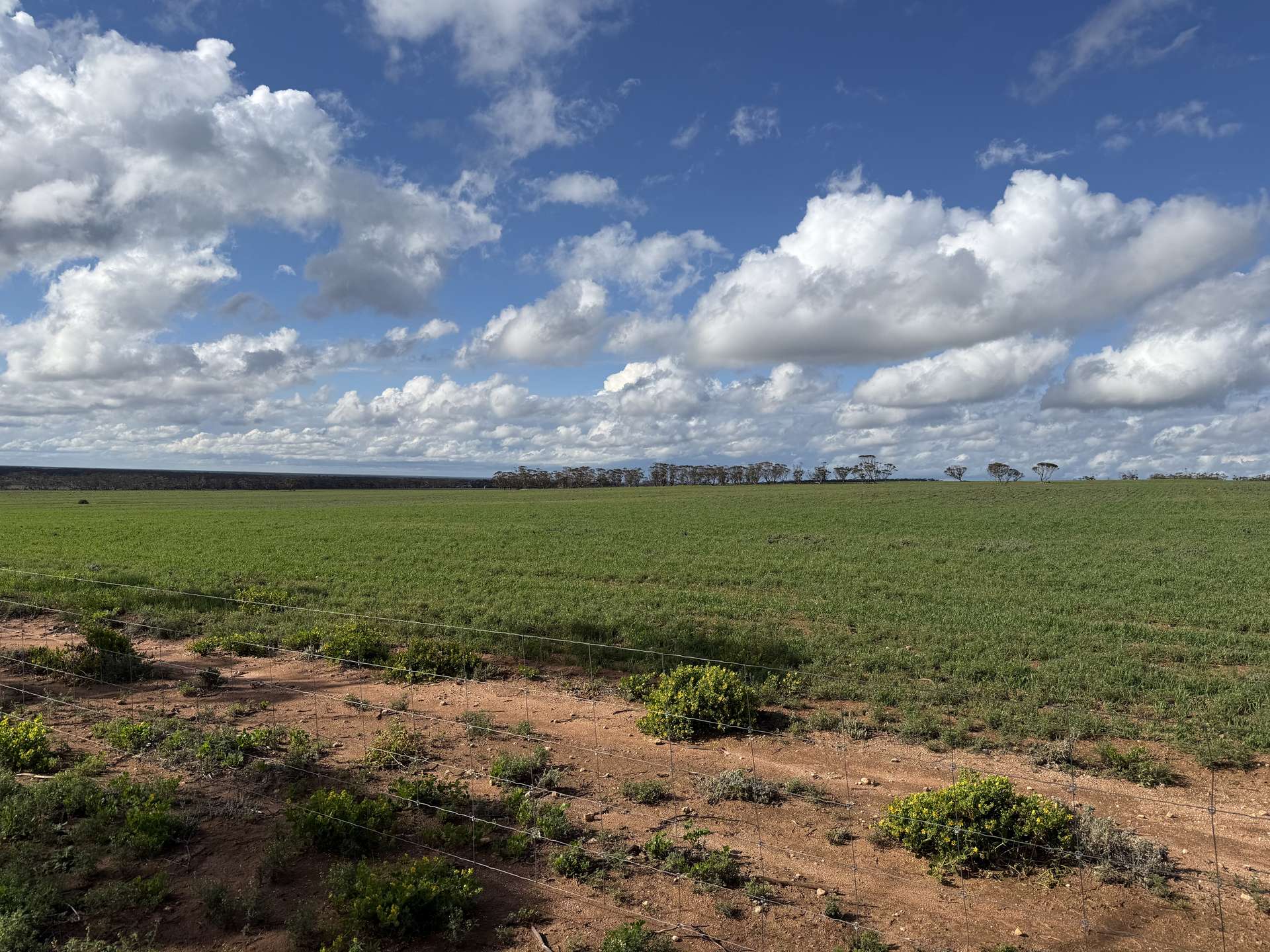 Lot 163,  Tungali Road, Sandleton For Sale by Farmbuy.com - image 18