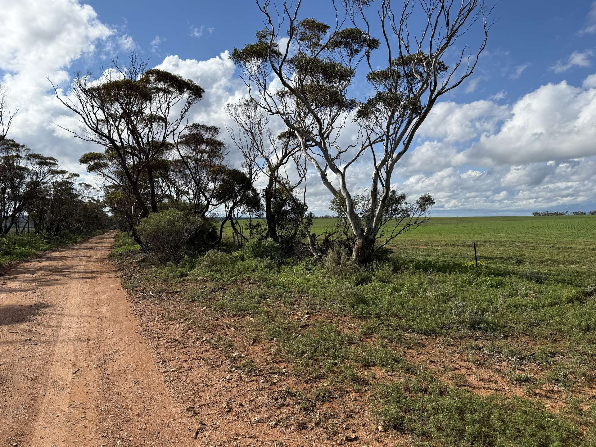Lot 163,  Tungali Road, Sandleton For Sale by Farmbuy.com - image 16