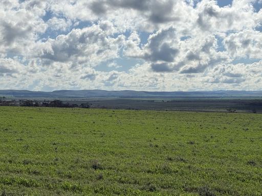 Farm For Sale - SA - Sandleton - 5356 - Off-Grid sanctuary on 151 hectares (373 Ac) across 2 Titles. Peace, nature and views. 