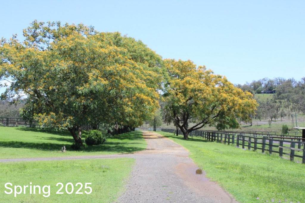256 Hazelwood Road, Southbrook For Sale by Farmbuy.com - image 35