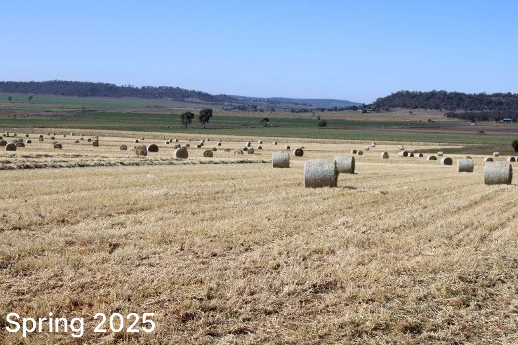 256 Hazelwood Road, Southbrook For Sale by Farmbuy.com - image 28