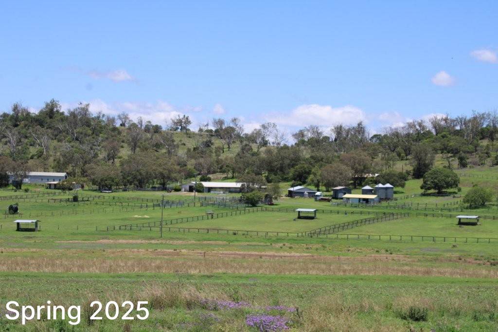 256 Hazelwood Road, Southbrook For Sale by Farmbuy.com - image 25