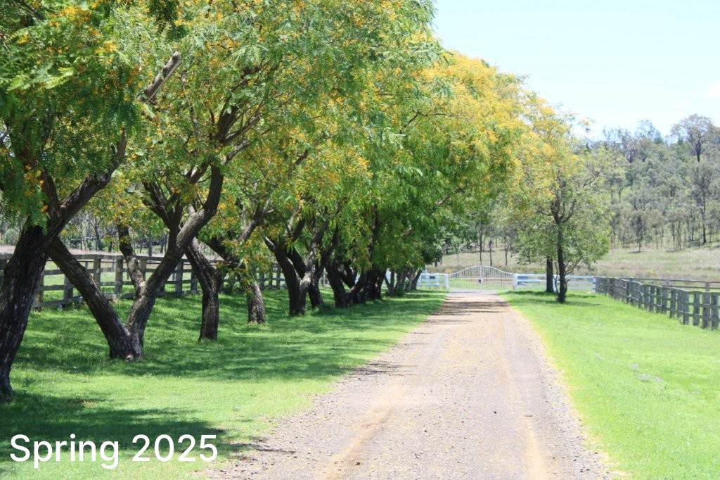 256 Hazelwood Road, Southbrook For Sale by Farmbuy.com - image 2