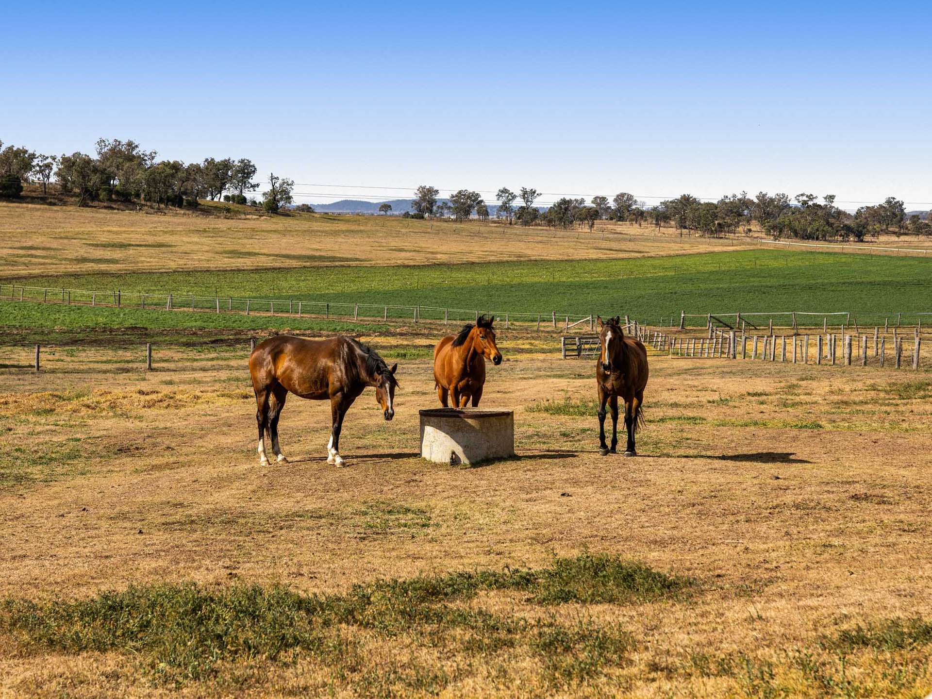 256 Hazelwood Road, Southbrook For Sale by Farmbuy.com - image 29