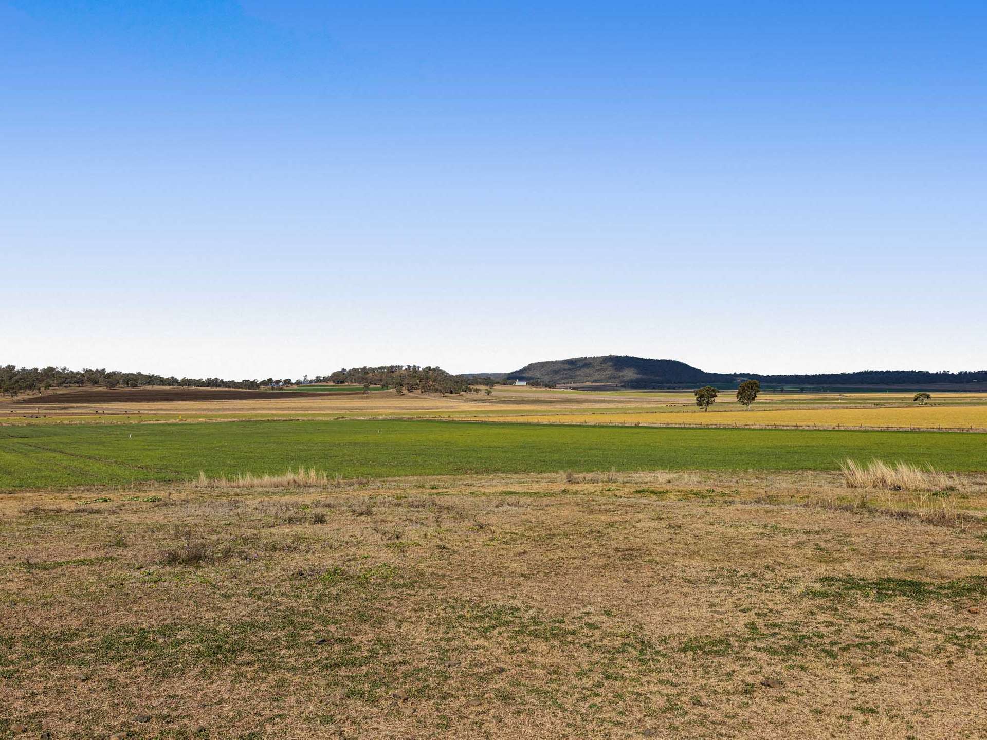 256 Hazelwood Road, Southbrook For Sale by Farmbuy.com - image 31