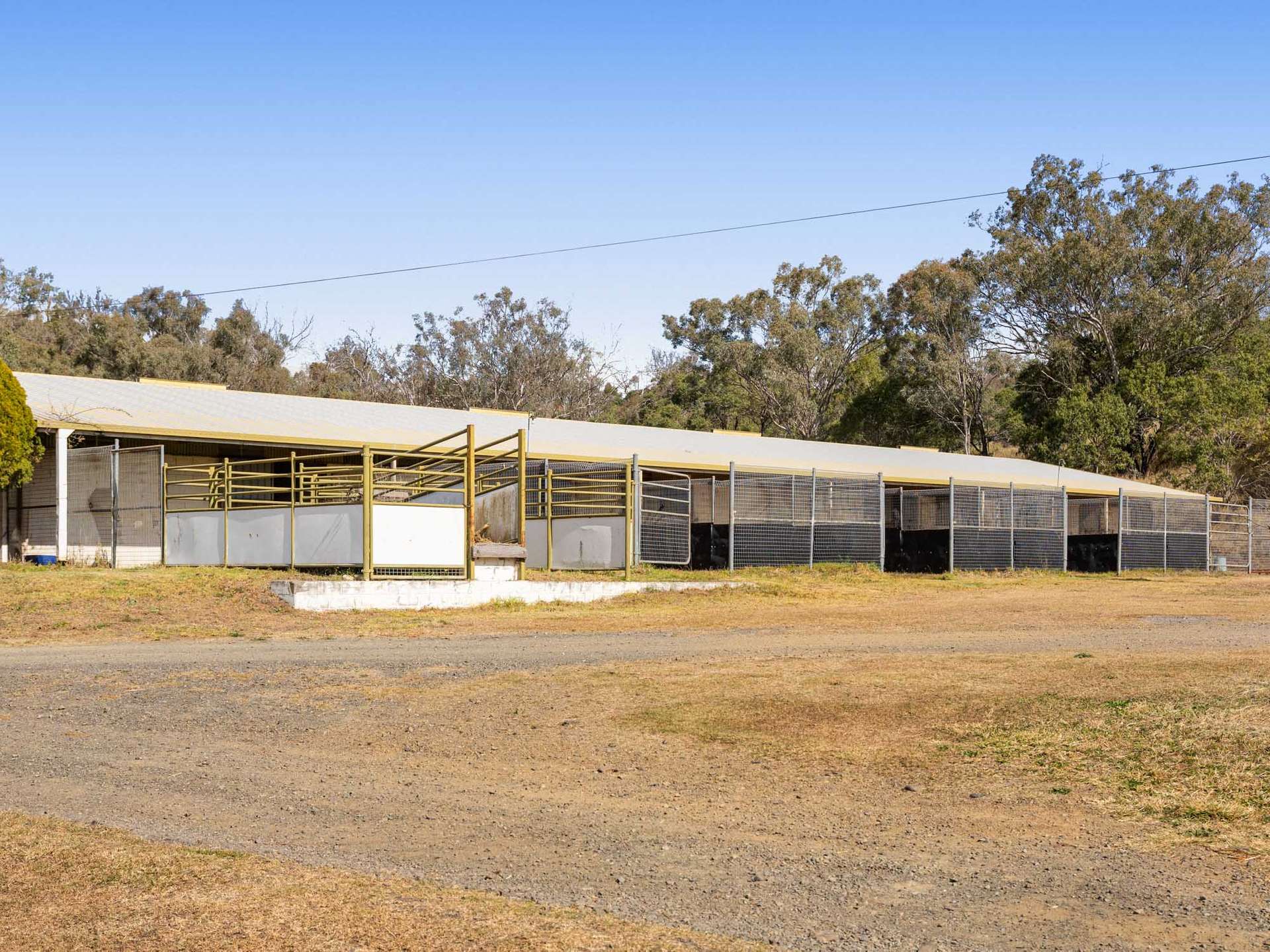 256 Hazelwood Road, Southbrook For Sale by Farmbuy.com - image 5