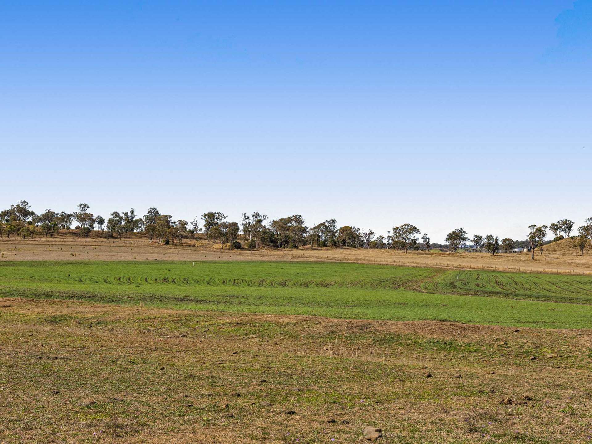 256 Hazelwood Road, Southbrook For Sale by Farmbuy.com - image 35