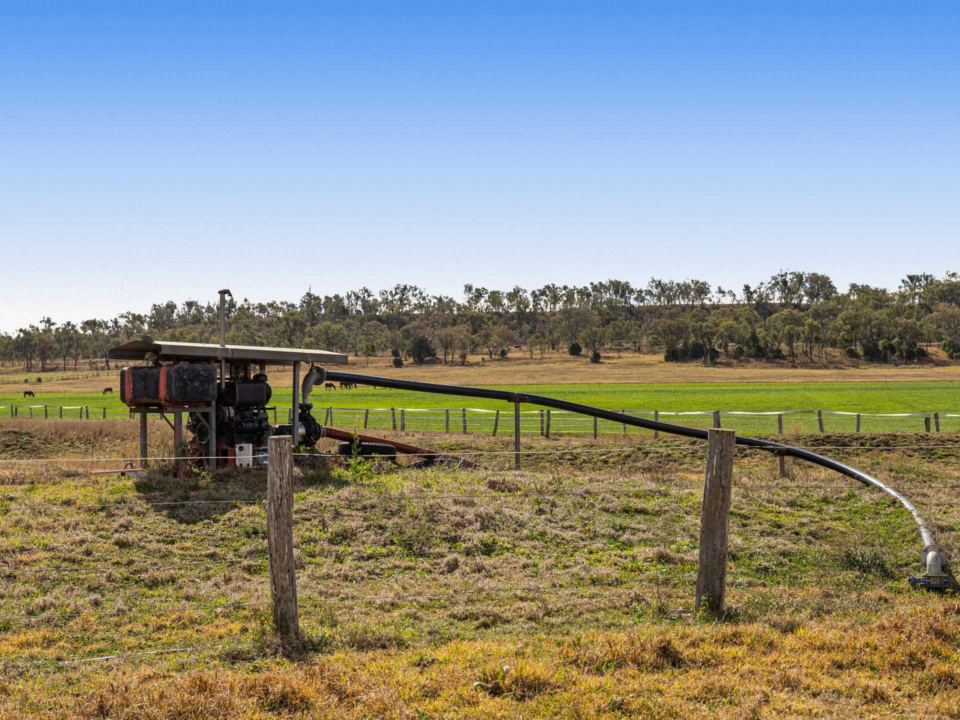 256 Hazelwood Road, Southbrook For Sale by Farmbuy.com - image 24