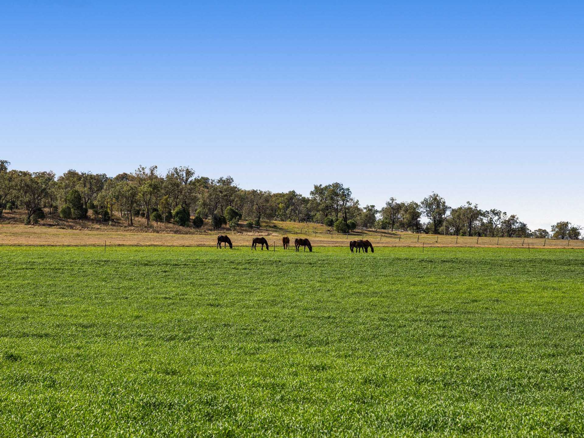 256 Hazelwood Road, Southbrook For Sale by Farmbuy.com - image 22