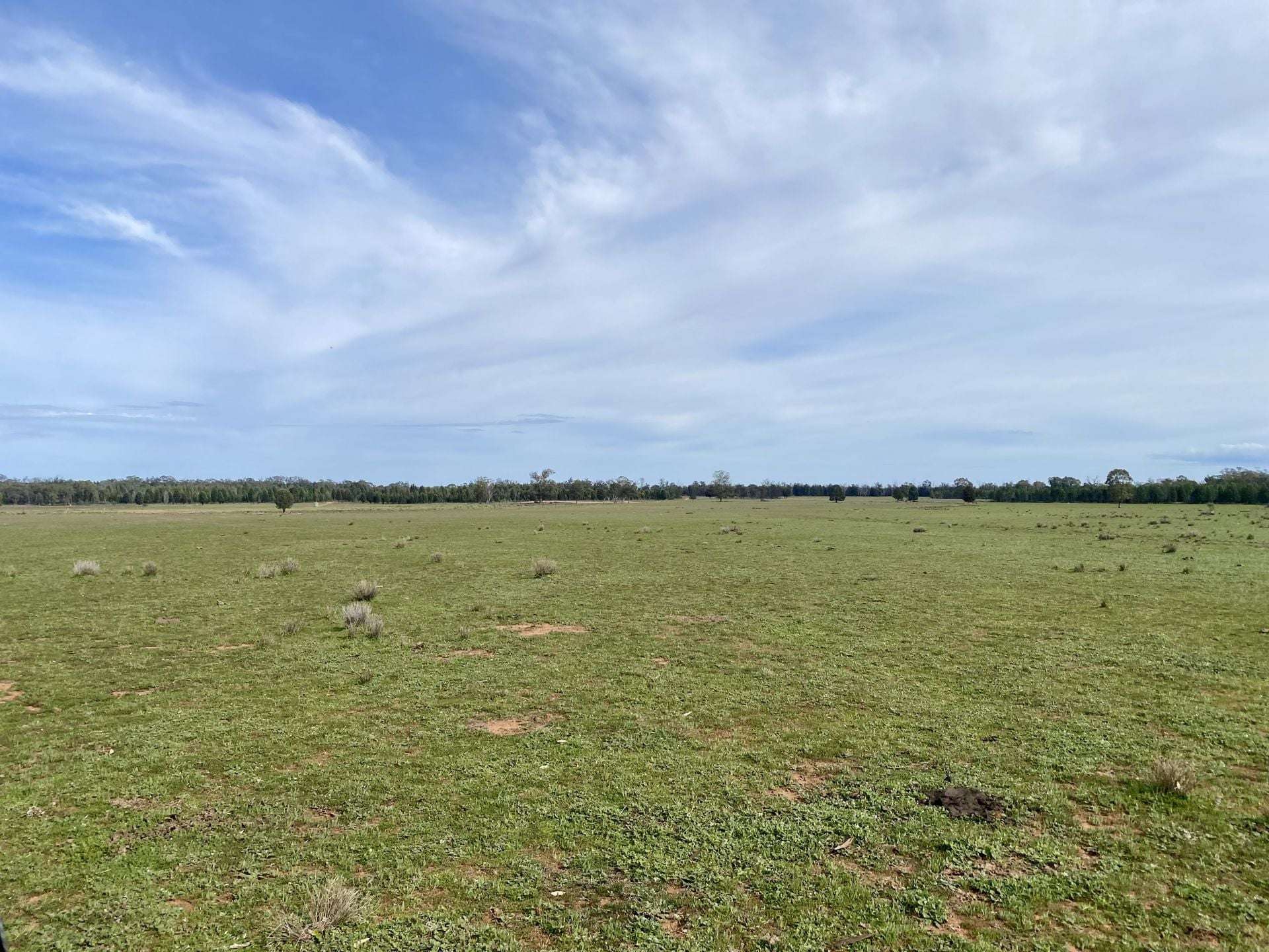 Gilgandra For Sale by Farmbuy.com - image 31