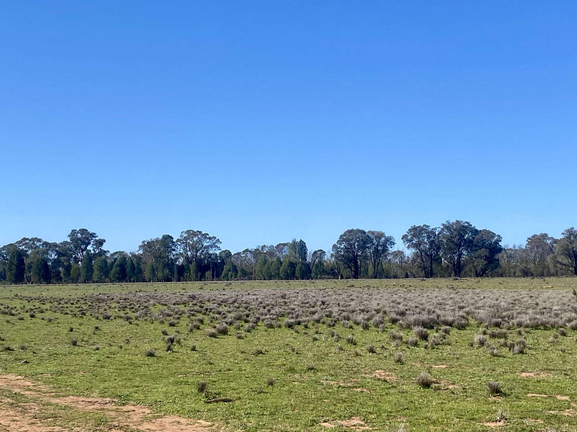 Gilgandra For Sale by Farmbuy.com - image 28