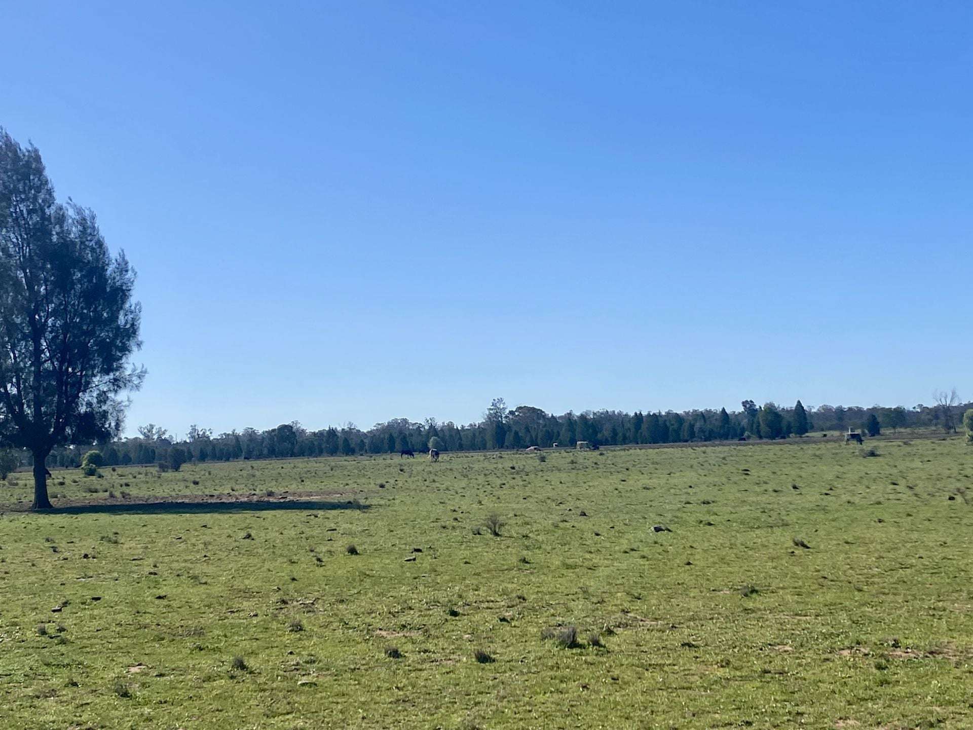 Gilgandra For Sale by Farmbuy.com - image 30