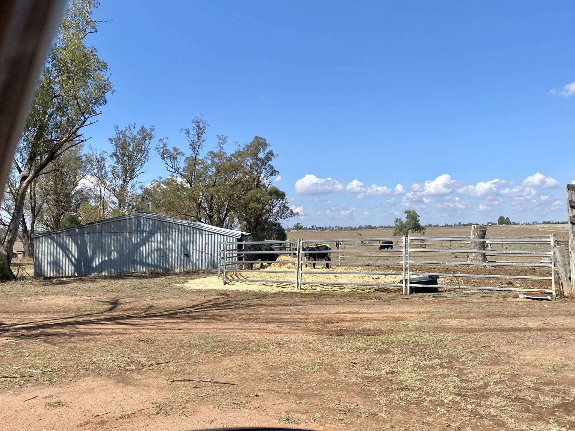 Gilgandra For Sale by Farmbuy.com - image 12